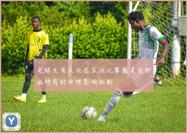 足球生肖文化在亚洲比赛圈是否形成特有的命理影响机制